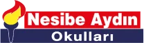 Nesibe Aydın Okulları logosu